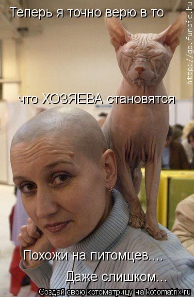 Котоматрица: Теперь я точно верю в то  что ХОЗЯЕВА становятся Похожи на питомцев.... Даже слишком...