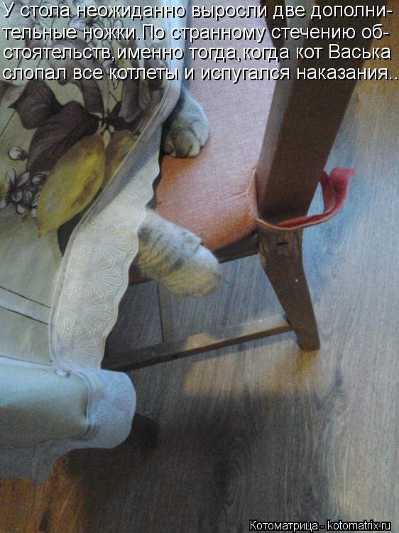 У стола неожиданно выросли две дополни- тельные ножки.По странному стечению об- стоятельств,именно то... Котоматрица: У стола неожиданно выросли две дополни- тельные ножки.По странному стечению об- стоятельств,именно тогда,когда кот Васька слопал все котле