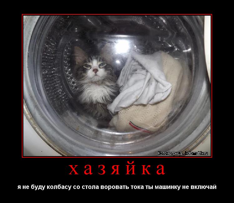хазяйка я не буду колбасу со стола воровать тока ты машинку не включай... Котоматрица: хазяйка я не буду колбасу со стола воровать тока ты машинку не включай