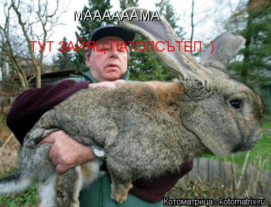 МАААААААМА МААААААМА ТУТ ЗАЙЯЦ ПАТОЛСЪТЕЛ: )... Котоматрица: МАААААААМА МААААААМА ТУТ ЗАЙЯЦ ПАТОЛСЪТЕЛ: )