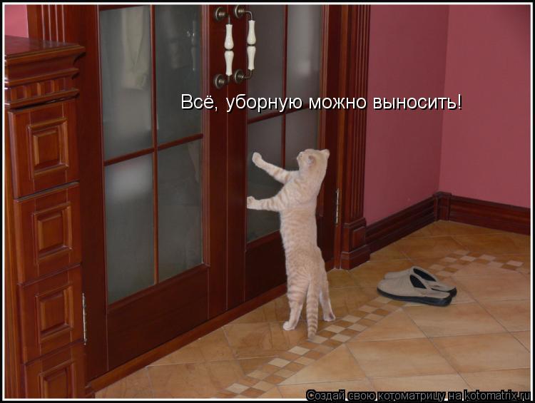 Всё, уборную можно выносить!... Котоматрица: Всё, уборную можно выносить!
