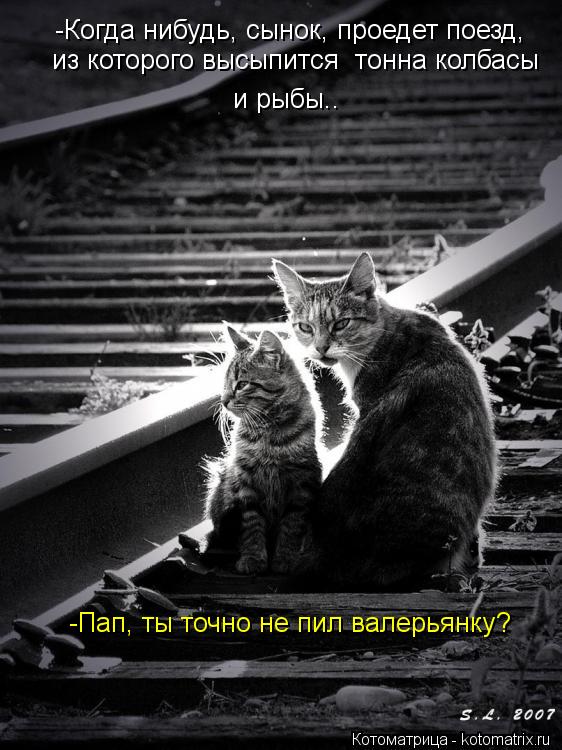 -Когда нибудь, сынок, проедет поезд, из которого высыпится тонна колбасы и рыбы.. -Пап, ты точно не... Котоматрица: -Когда нибудь, сынок, проедет поезд, из которого высыпится тонна колбасы и рыбы.. -Пап, ты точно не пил валерьянку?