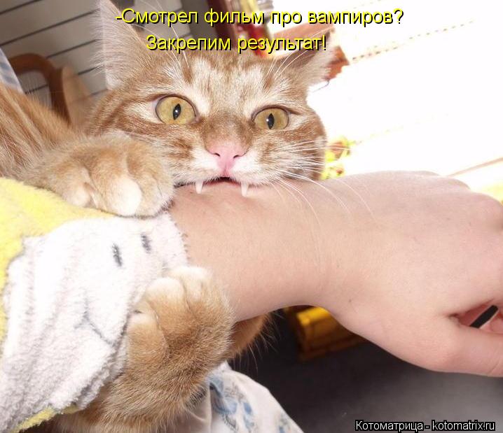 -Смотрел фильм про вампиров? Закрепим результат!... Котоматрица: -Смотрел фильм про вампиров? Закрепим результат!