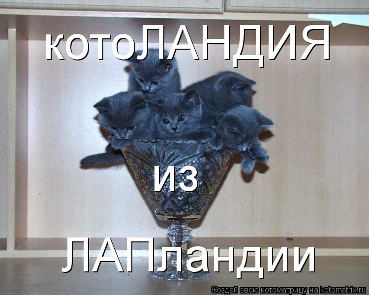 котоЛАНДИЯ из ЛАПландии... Котоматрица: котоЛАНДИЯ из ЛАПландии