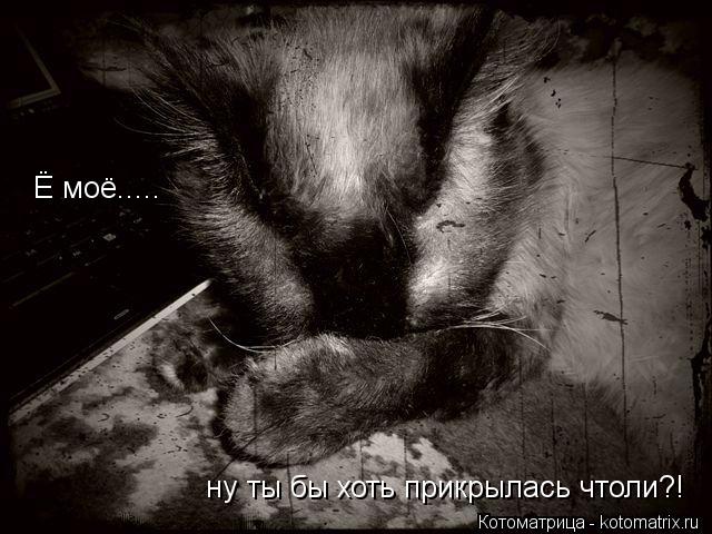 ну ты бы хоть прикрылась чтоли?! Ё моё........ Котоматрица: ну ты бы хоть прикрылась чтоли?! Ё моё.....