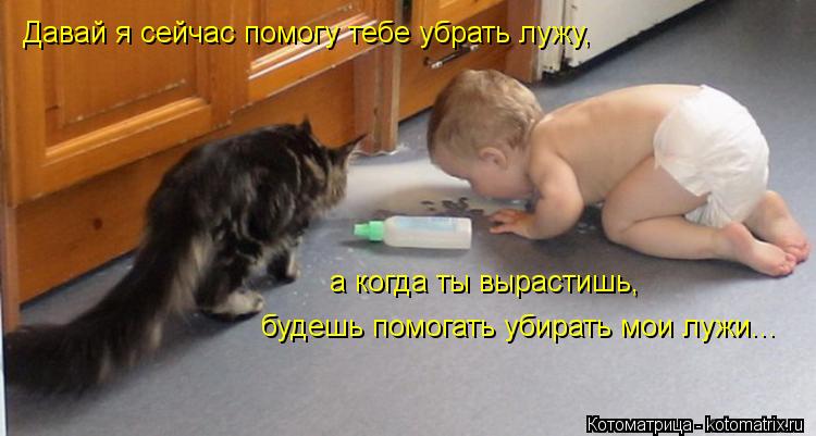 Давай я сейчас помогу тебе убрать лужу, а когда ты вырастишь, будешь помогать убирать мои лужи...... Котоматрица: Давай я сейчас помогу тебе убрать лужу, а когда ты вырастишь, будешь помогать убирать мои лужи...