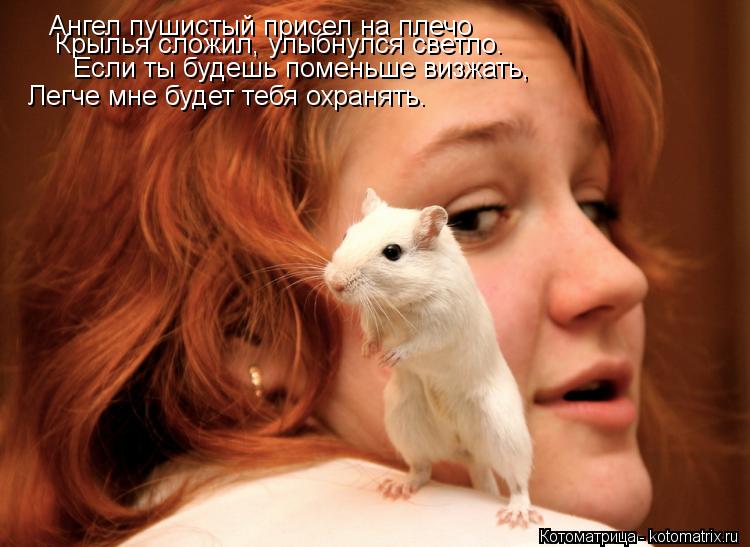 Ангел пушистый присел на плечо Крылья сложил, улыбнулся светло. Если ты будешь поменьше визжать, Легч... Котоматрица: Ангел пушистый присел на плечо Крылья сложил, улыбнулся светло. Если ты будешь поменьше визжать, Легче мне будет тебя охранять.