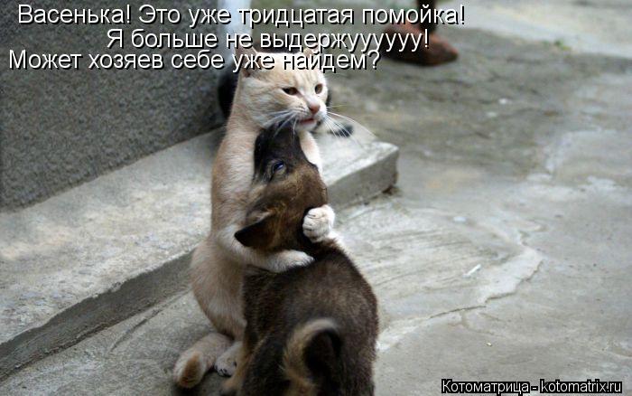 Васенька! Это уже тридцатая помойка! Я больше не выдержуууууу! Может хозяев себе уже найдем?... Котоматрица: Васенька! Это уже тридцатая помойка! Я больше не выдержуууууу! Может хозяев себе уже найдем?