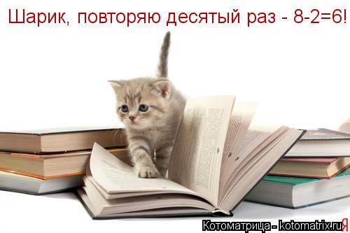 Шарик, повторяю десятый раз - 8-2=6!... Котоматрица: Шарик, повторяю десятый раз - 8-2=6!