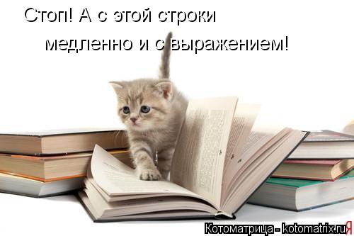 Стоп! А с этой строки медленно и с выражением!... Котоматрица: Стоп! А с этой строки медленно и с выражением!