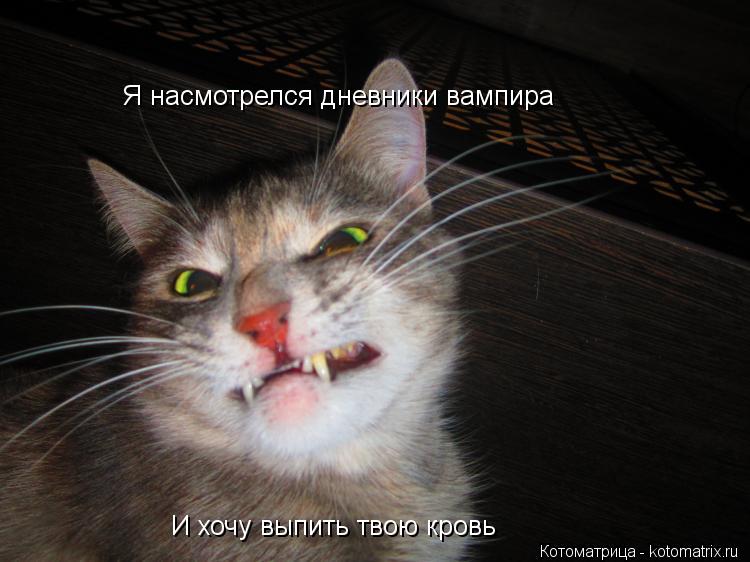 Я насмотрелся дневники вампира И хочу выпить твою кровь... Котоматрица: Я насмотрелся дневники вампира И хочу выпить твою кровь