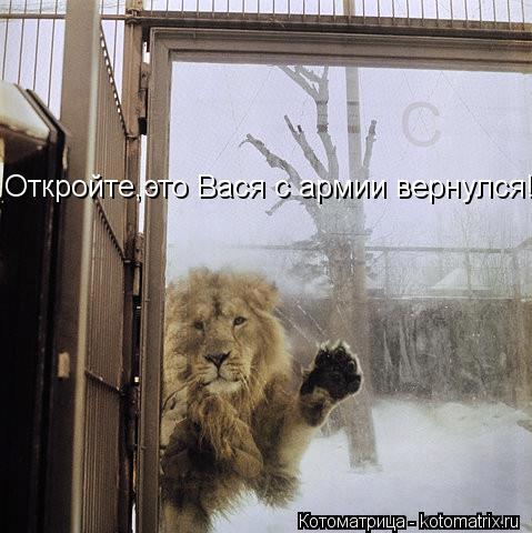 Откройте,это Вася с армии вернулся!... Котоматрица: Откройте,это Вася с армии вернулся!