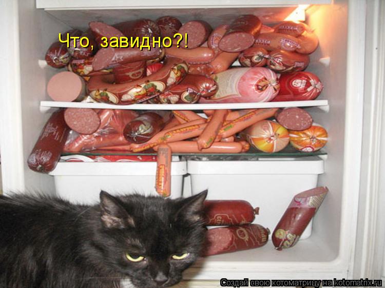 Что, завидно?!... Котоматрица: Что, завидно?!