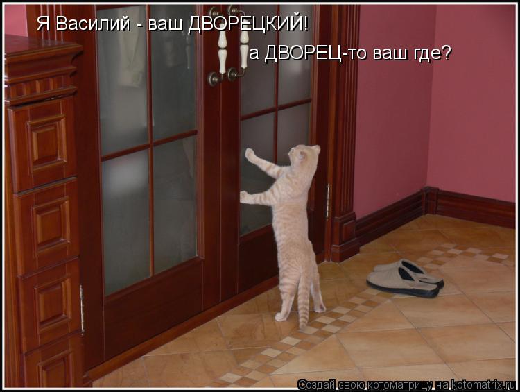 Котоматрица: Я Василий - ваш ДВОРЕЦКИЙ! а ДВОРЕЦ-то ваш где?