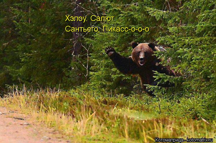 Хэлоу. Салют. Сантьего. Пикасс-о-о-о... Котоматрица: Хэлоу. Салют. Сантьего. Пикасс-о-о-о