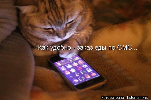 Котоматрица: Как удобно - заказ еды по СМС...