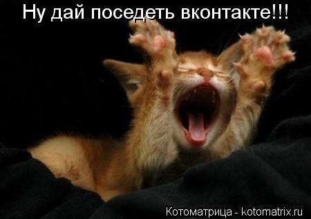 Ну дай поседеть вконтакте!!!... Котоматрица: Ну дай поседеть вконтакте!!!