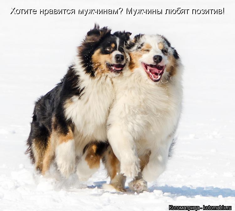 Хотите нравится мужчинам? Мужчины любят позитив!... Котоматрица: Хотите нравится мужчинам? Мужчины любят позитив!