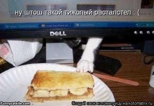 ну штош такой тижолый расталстел : (... Котоматрица: ну штош такой тижолый расталстел : (