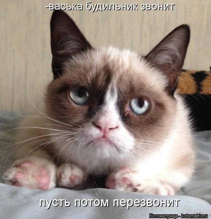 -васька будильник звонит пусть потом перезвонит... Котоматрица: -васька будильник звонит пусть потом перезвонит