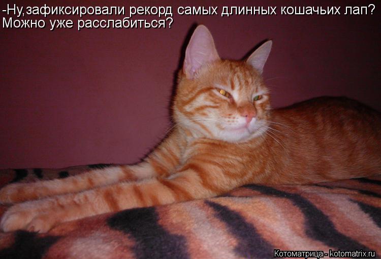 -Ну,зафиксировали рекорд самых длинных кошачьих лап? Можно уже расслабиться?... Котоматрица: -Ну,зафиксировали рекорд самых длинных кошачьих лап? Можно уже расслабиться?