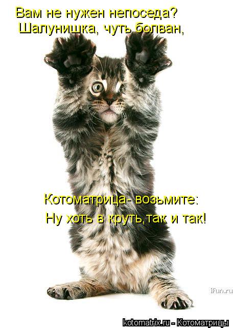 Вам не нужен непоседа? Шалунишка, чуть болван, Котоматрица- возьмите: Ну хоть в круть,так и так!... Котоматрица: Вам не нужен непоседа? Шалунишка, чуть болван, Котоматрица- возьмите: Ну хоть в круть,так и так!
