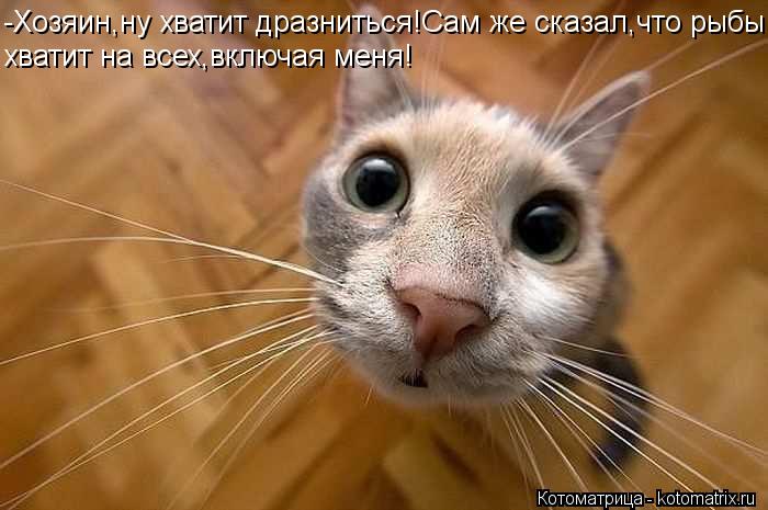 -Хозяин,ну хватит дразниться!Сам же сказал,что рыбы хватит на всех,включая меня!... Котоматрица: -Хозяин,ну хватит дразниться!Сам же сказал,что рыбы хватит на всех,включая меня!
