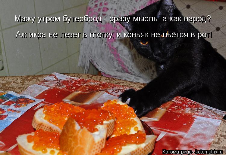 Мажу утром бутерброд - сразу мысль: а как народ? Аж икра не лезет в глотку, и коньяк не льётся в рот!... Котоматрица: Мажу утром бутерброд - сразу мысль: а как народ? Аж икра не лезет в глотку, и коньяк не льётся в рот!