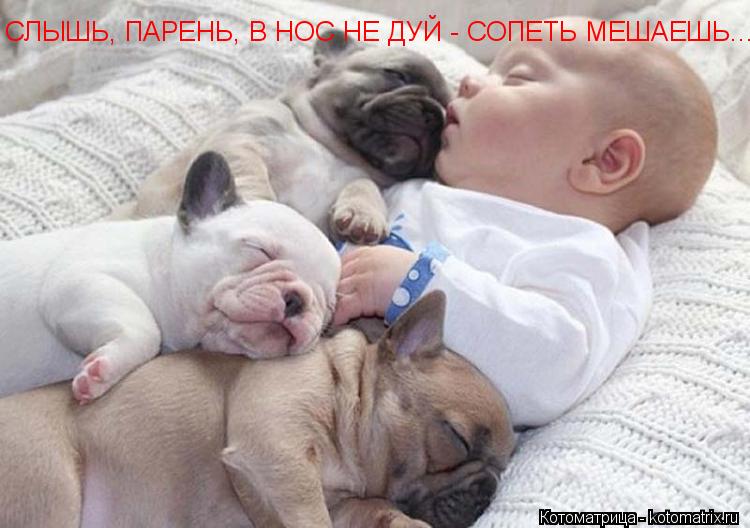 СЛЫШЬ, ПАРЕНЬ, В НОС НЕ ДУЙ - СОПЕТЬ МЕШАЕШЬ...... Котоматрица: СЛЫШЬ, ПАРЕНЬ, В НОС НЕ ДУЙ - СОПЕТЬ МЕШАЕШЬ...