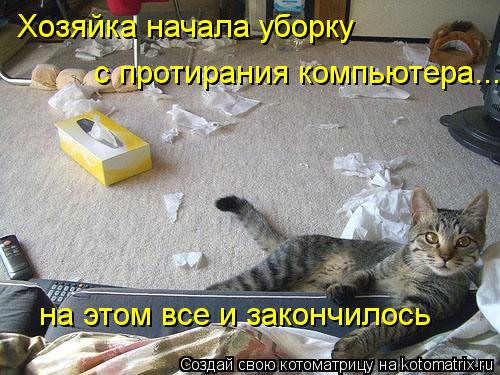 Хозяйка начала уборку с протирания компьютера... на этом все и закончилось... Котоматрица: Хозяйка начала уборку с протирания компьютера... на этом все и закончилось
