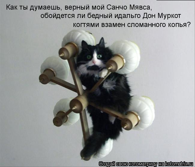 Как ты думаешь, верный мой Санчо Мявса, обойдется ли бедный идальго Дон Муркот когтями взамен сломанн... Котоматрица: Как ты думаешь, верный мой Санчо Мявса, обойдется ли бедный идальго Дон Муркот когтями взамен сломанного копья?