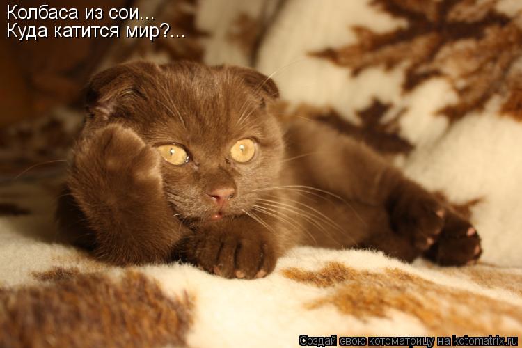 Колбаса из сои... Куда катится мир?...... Котоматрица: Колбаса из сои... Куда катится мир?...