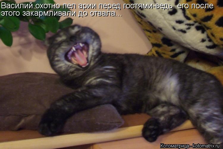 Василий охотно пел арии перед гостями-ведь его после этого закармливали до отвала...... Котоматрица: Василий охотно пел арии перед гостями-ведь его после этого закармливали до отвала...