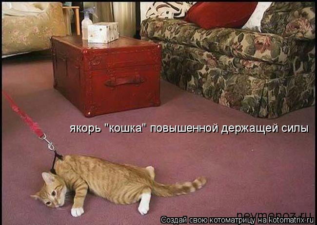 якорь "кошка" повышенной держащей силы... Котоматрица: якорь "кошка" повышенной держащей силы