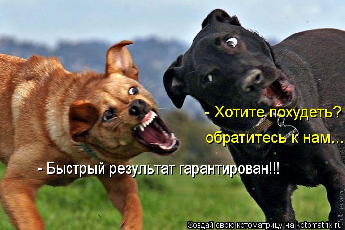 - Хотите похудеть? обратитесь к нам... - Быстрый результат гарантирован!!!... Котоматрица: - Хотите похудеть? обратитесь к нам... - Быстрый результат гарантирован!!!