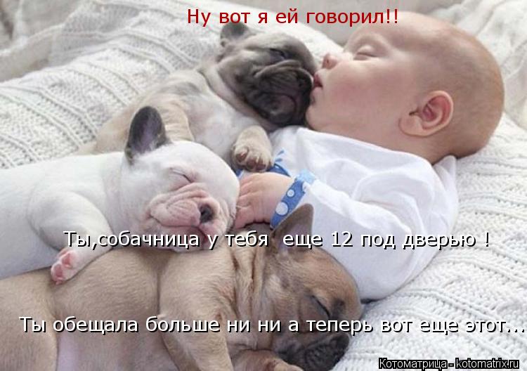 Ну вот я ей говорил!! Ты,собачница у тебя еще 12 под дверью ! Ты обещала больше ни ни а теперь вот е... Котоматрица: Ну вот я ей говорил!! Ты,собачница у тебя еще 12 под дверью ! Ты обещала больше ни ни а теперь вот еще этот....
