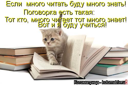 Котоматрица: Если  много читать буду много знать! Поговорка есть такая: Тот кто, много читает тот много знает! Вот и я буду учиться!
