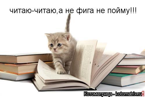 читаю-читаю,а не фига не пойму!!!... Котоматрица: читаю-читаю,а не фига не пойму!!!