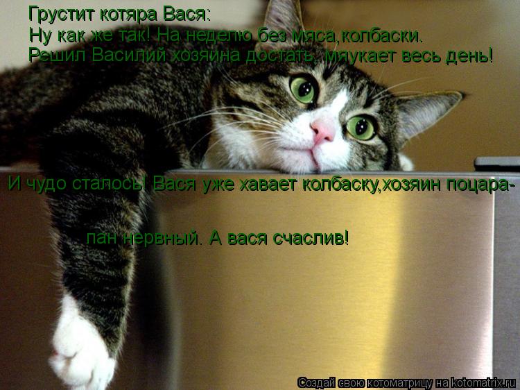 Грустит котяра Вася: Ну как же так! На неделю без мяса,колбаски. Решил Василий хозяина достать, мяук... Котоматрица: Грустит котяра Вася: Ну как же так! На неделю без мяса,колбаски. Решил Василий хозяина достать, мяукает весь день! И чудо сталось! Вася уже ха