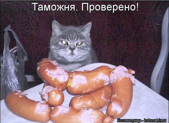 Таможня. Проверено!... Котоматрица: Таможня. Проверено!