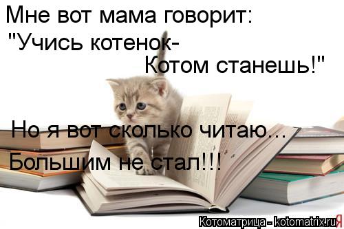 Мне вот мама говорит: "Учись котенок- Котом станешь!" Но я вот сколько читаю... Большим не стал!!!... Котоматрица: Мне вот мама говорит: "Учись котенок- Котом станешь!" Но я вот сколько читаю... Большим не стал!!!