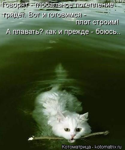 Котоматрица: Говорят - глобальное потепление грядет. Вот и готовимся - плот строим! А плавать? как и прежде - боюсь..