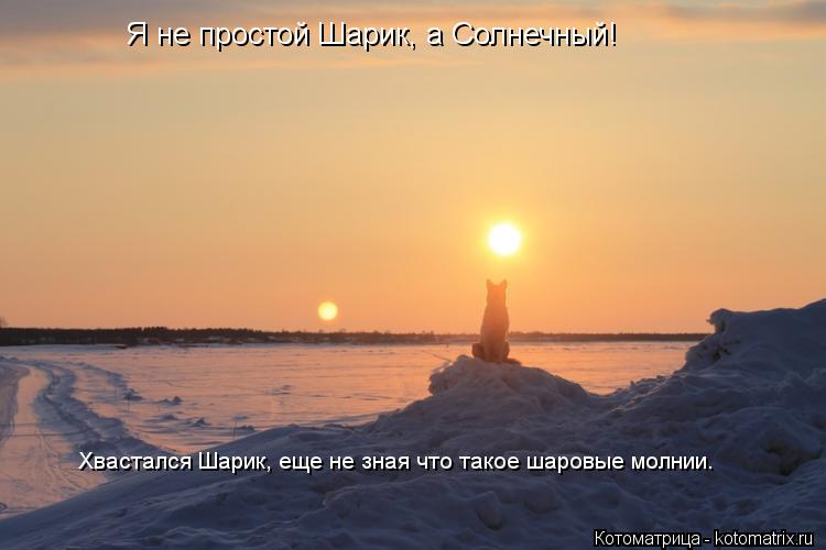 Я не простой Шарик, а Солнечный! Хвастался Шарик, еще не зная что такое шаровые молнии.... Котоматрица: Я не простой Шарик, а Солнечный! Хвастался Шарик, еще не зная что такое шаровые молнии.