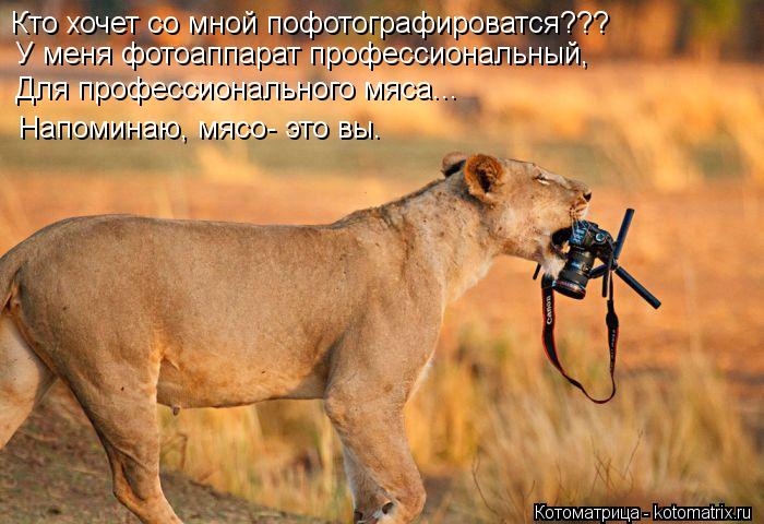 Кто хочет со мной пофотографироватся??? У меня фотоаппарат профессиональный, Для профессионального мя... Котоматрица: Кто хочет со мной пофотографироватся??? У меня фотоаппарат профессиональный, Для профессионального мяса... Напоминаю, мясо- это вы.