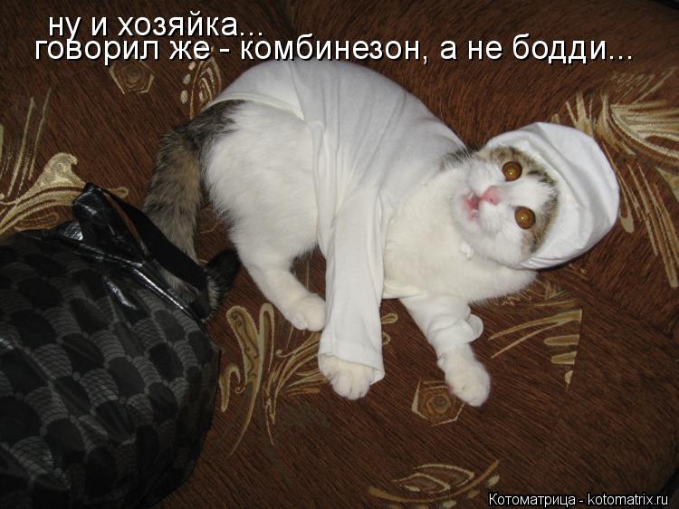 ну и хозяйка... говорил же - комбинезон, а не бодди...... Котоматрица: ну и хозяйка... говорил же - комбинезон, а не бодди...