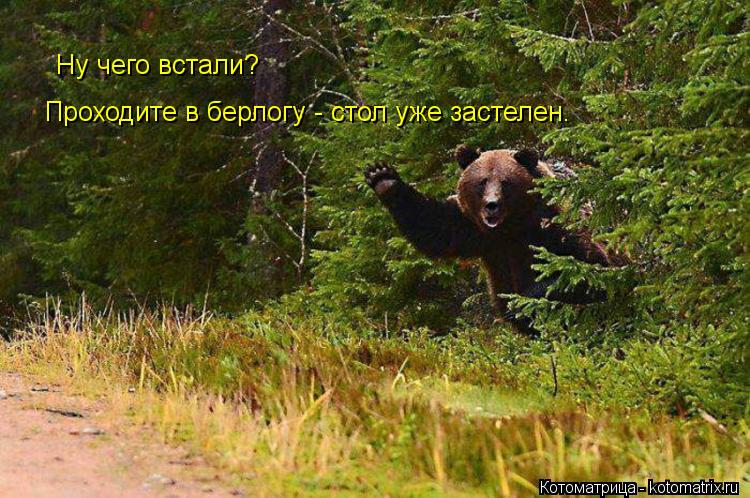 Ну чего встали? Проходите в берлогу - стол уже застелен.... Котоматрица: Ну чего встали? Проходите в берлогу - стол уже застелен.