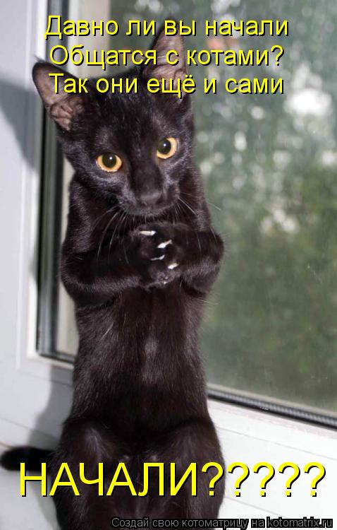 Давно ли вы начали Общатся с котами? Так они ещё и сами НАЧАЛИ?????... Котоматрица: Давно ли вы начали Общатся с котами? Так они ещё и сами НАЧАЛИ?????