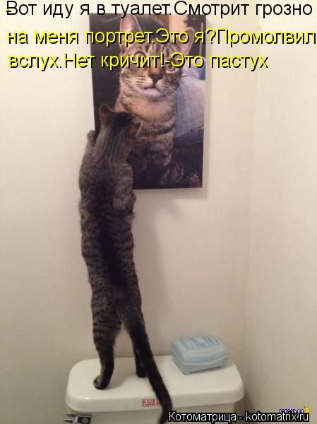 Вот иду я в туалет.Смотрит грозно на меня портрет.Это я?Промолвил вслух.Нет кричит!-Это пастух вслух.... Котоматрица: Вот иду я в туалет.Смотрит грозно на меня портрет.Это я?Промолвил вслух.Нет кричит!-Это пастух вслух.Нет кричит!-Это пастух -