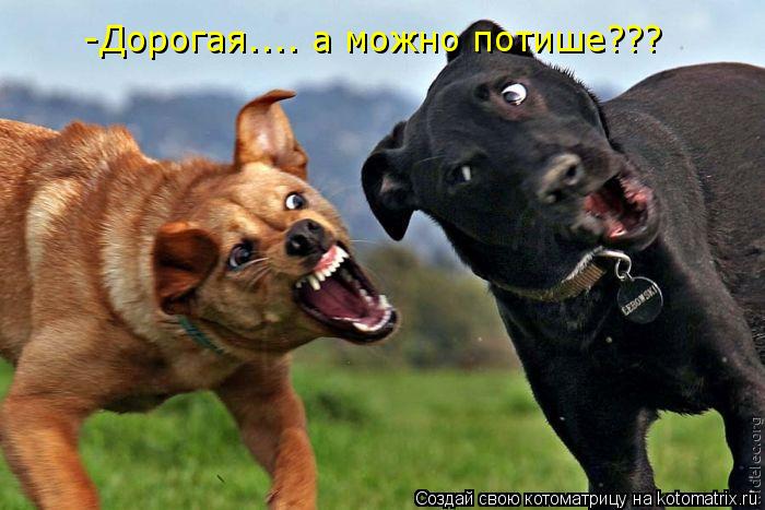 -Дорогая.... а можно потише???... Котоматрица: -Дорогая.... а можно потише???