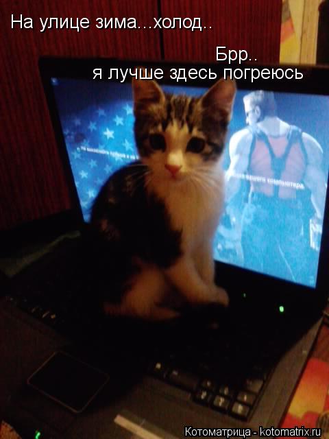 На улице зима...холод.. Брр.. я лучше здесь погреюсь... Котоматрица: На улице зима...холод.. Брр.. я лучше здесь погреюсь